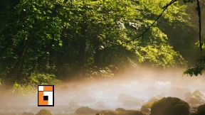 Prijava protiv gradonačelnice